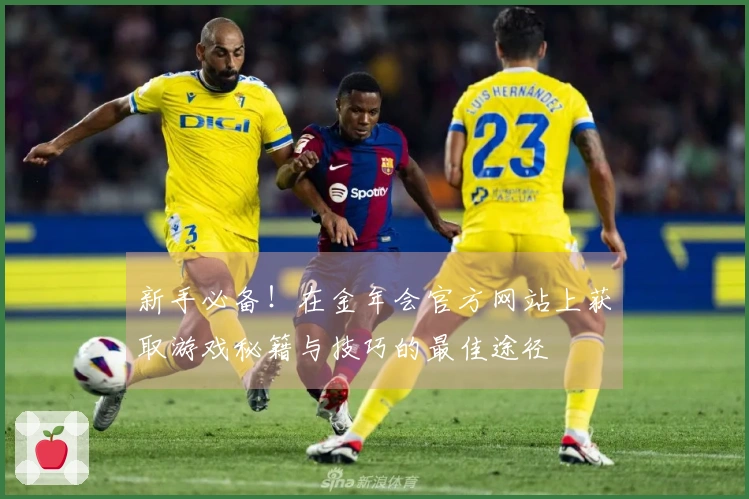 新手必备！在金年会官方网站上获取游戏秘籍与技巧的最佳途径
