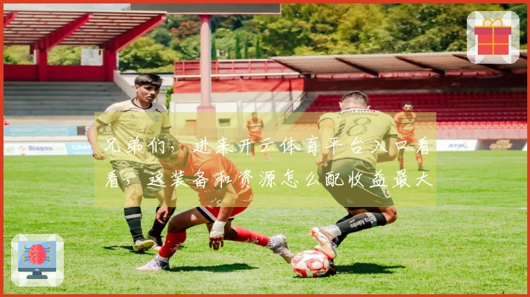 兄弟们，进来开云体育平台入口看看，这装备和资源怎么配收益最大化！