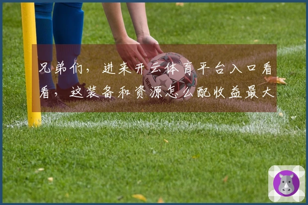 兄弟们，进来开云体育平台入口看看，这装备和资源怎么配收益最大化！